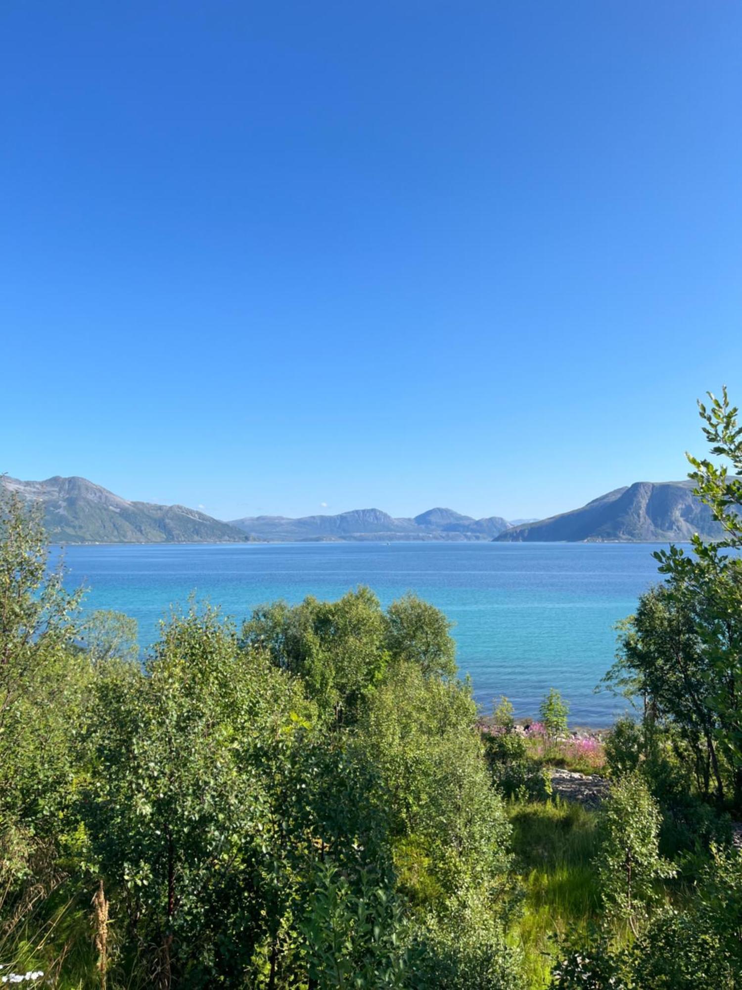 Villa Fantastic View, Quiet And Relaxing By The Sea à Kvaloya Extérieur photo